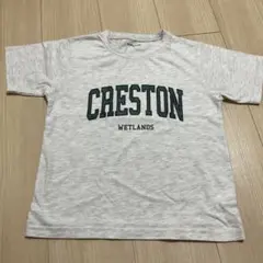 Item thumbnail for item 6301a330-c4c1-4a64-b593-7d45bc8b8ca0