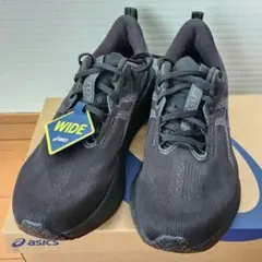 asics　NOVABLAST5 27.5 wide