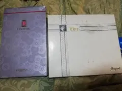 Item thumbnail for item ea174992-037b-4ca6-beb7-c6837a3096eb