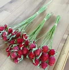 EMaMa様 リクエスト 2点 まとめ商品