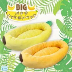 Item thumbnail for item 93b3d882-2be6-4c47-8a25-abe3898bd5f3