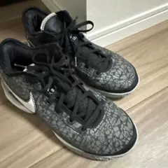ZOOM LEBRON NXXT GEN EP 28cm