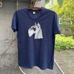 90年代 USA製 ブラックドッグ 美品 ビンテージ Tシャツ ヘインズ 