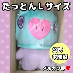 Item thumbnail for item 135bbdbe-8f32-48be-8338-fe57c714b8f2