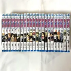 BLEACH ブリーチ 漫画 1〜22巻セット 久保帯人