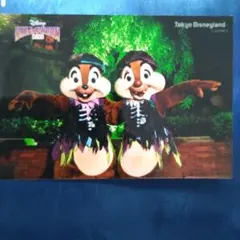 ディズニー ランド ハロウィン スプブ チップ＆デール スペフォ 写真