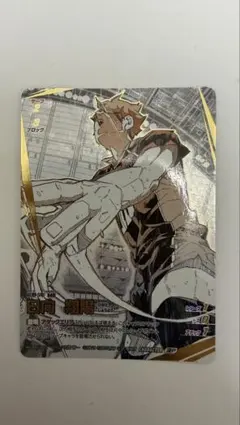 ハイキュー バボカ ゴミ捨て場の決戦 頂P 日向翔陽