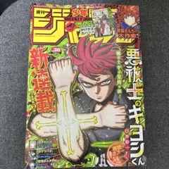 週刊少年ジャンプ 2024年 30号