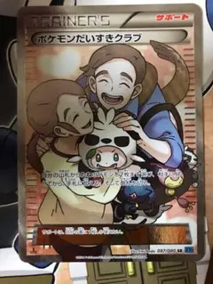 ポケモンだいすきクラブ SR XY 拡張パック「ワイルドブレイズ」 キラ