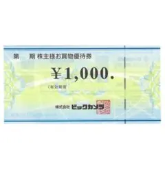 ビックカメラ等株主優待券 1000円分