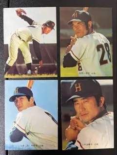 2026年最新】山本浩二 バットの人気アイテム - メルカリ