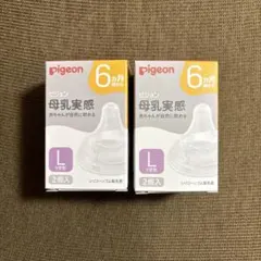 ピジョン　母乳実感　Lサイズ×2セット✨