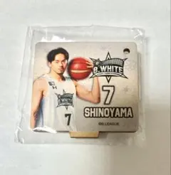 川崎ブレイブサンダース バスケットボール