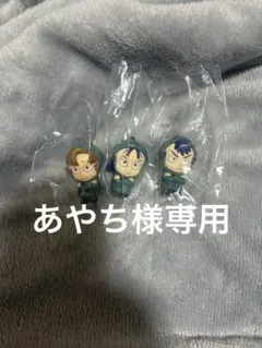 あやち様専用ページ