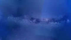 りり様専用