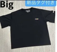 大きいサイズ黒Tシャツ 新品タグ付き
