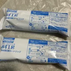 タカギ 浄水器カートリッジ 品番JC0062 標準タイプ - メルカリ