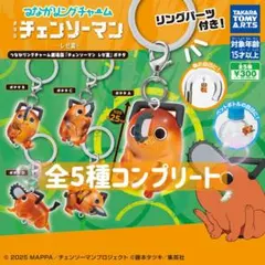 【最安値】 ポチタ めじるしアクセサリー 全5種コンプリートセット