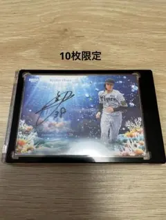 阪神タイガース 小幡竜平 T-SHOP受注生産限定直筆サイン入りフォトファイル 阪神タイガース 小幡竜平選手 直筆サインカード - メルカリ