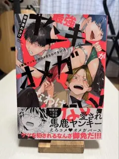 最強ヤンキーがオメガなわけない！