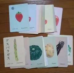 美品 家庭保育園 たのしい絵カード・ドッツカード・指導プログラム等 美品 家庭保育園 たのしい絵カード・ドッツカード・指導