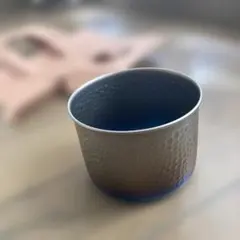 エバニュー　GubiGubiのサムネイル