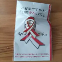 堀ちえみさん講演会ピンバッジ