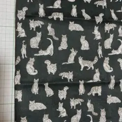 リバティ ミャオウプティ インクブラック 26×50 C&S