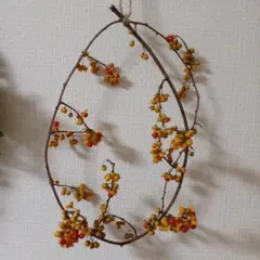 ツルウメモドキリース