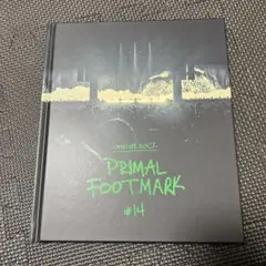 ONE OK ROCK PRIMAL FOOTMARK #14