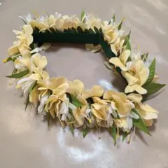 ハク ベルクロハク ベルクロタイプ