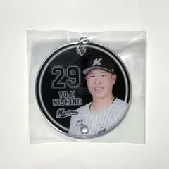 Item thumbnail for item 0fc066d0-be67-4c8e-9e5b-ffcf364201b8