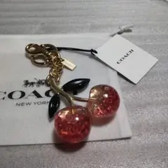 バッグ キーホルダー