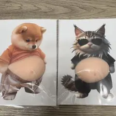 お腹ぷにぷにシール 柴犬 猫 おなかぷくぷくシール 3Dシール 2匹