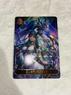 シャドウバースエボルヴ 黒翼覇道・フォルテ リーダーカード - メルカリ