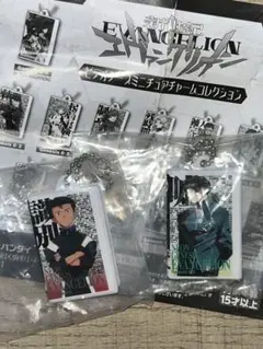 新世紀エヴァンゲリオン ビデオテープミニチュアチャームコレクション