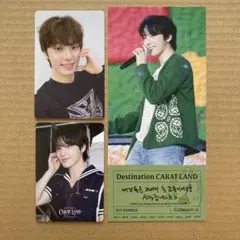 SEVENTEEN CARAT LAND ケレン ディノ