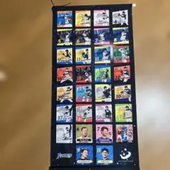 北海道日本ハムファイターズ 選手タペストリー