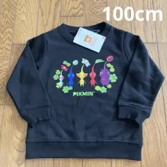 Item thumbnail for item 85e8e916-78a0-400a-98b2-a88aa85b9e6d