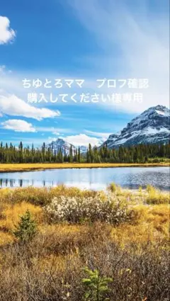 14 レジン　シャカシャカキーホルダー　シェイカー　夢かわ　食パン　パン