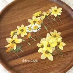 専用ページです☺︎
