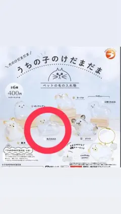 正規品　うちの子のけだま 犬のカプセルトイ　丸たれみみ