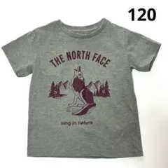 THE NORTH FACE／半袖Tシャツ／120