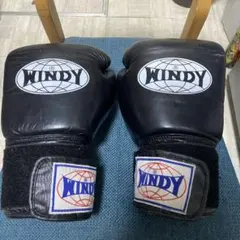 2026年最新】ウイニング グローブの人気アイテム - メルカリ