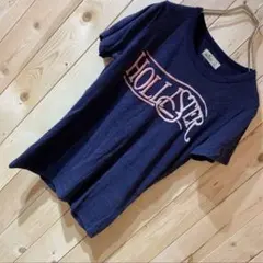 AE1419 HOLLISTER 刺繡半袖Ｔシャツ ネイビーブルー レディースのサムネイル