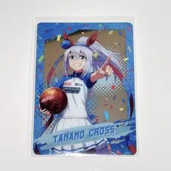 2025年最新】タマモクロス カードの人気アイテム - メルカリ