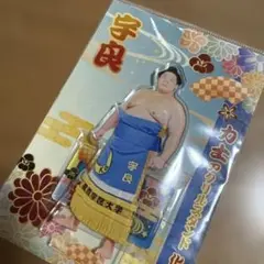 大相撲　上手い！宇良関　アクリルスタンド　9月場所 両国国技館