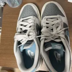 NIKE DUNK LOW RETRO ダンク LOW レトロ 25cm