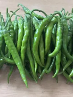 自家栽培 無農薬 激辛青韓国唐辛子 約450g 新鮮 野菜のサムネイル