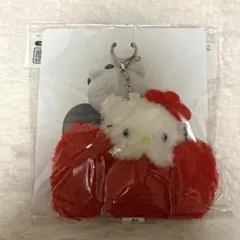 Tmoney キーホルダー ハローキティ Tマネー 韓国限定 サンリオ